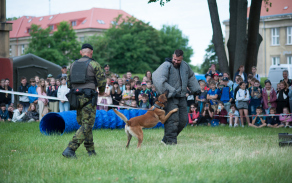 Dynamická ukázka služební kynologie (K9)