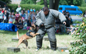 Dynamická ukázka služební kynologie (K9)